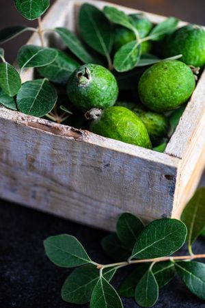 Box of fresh green feijoa fruit