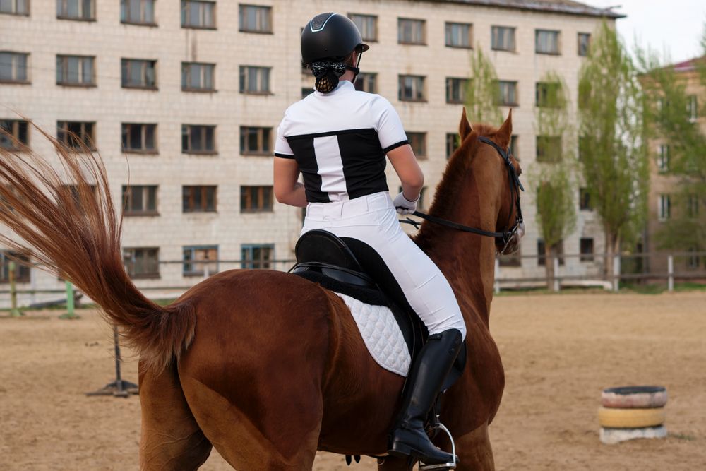 Back view of equestrian rider in city environment