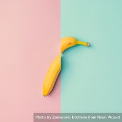 Banana fruit cut in half on pink blue background 0LaNR5