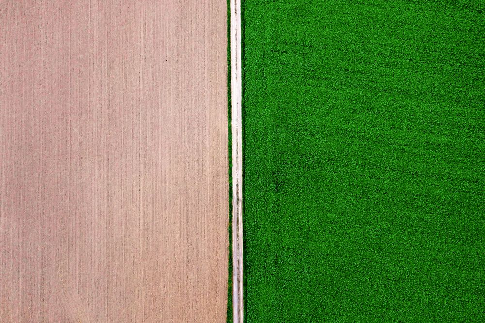 Agricultural fields and single countryside road, drone point of view