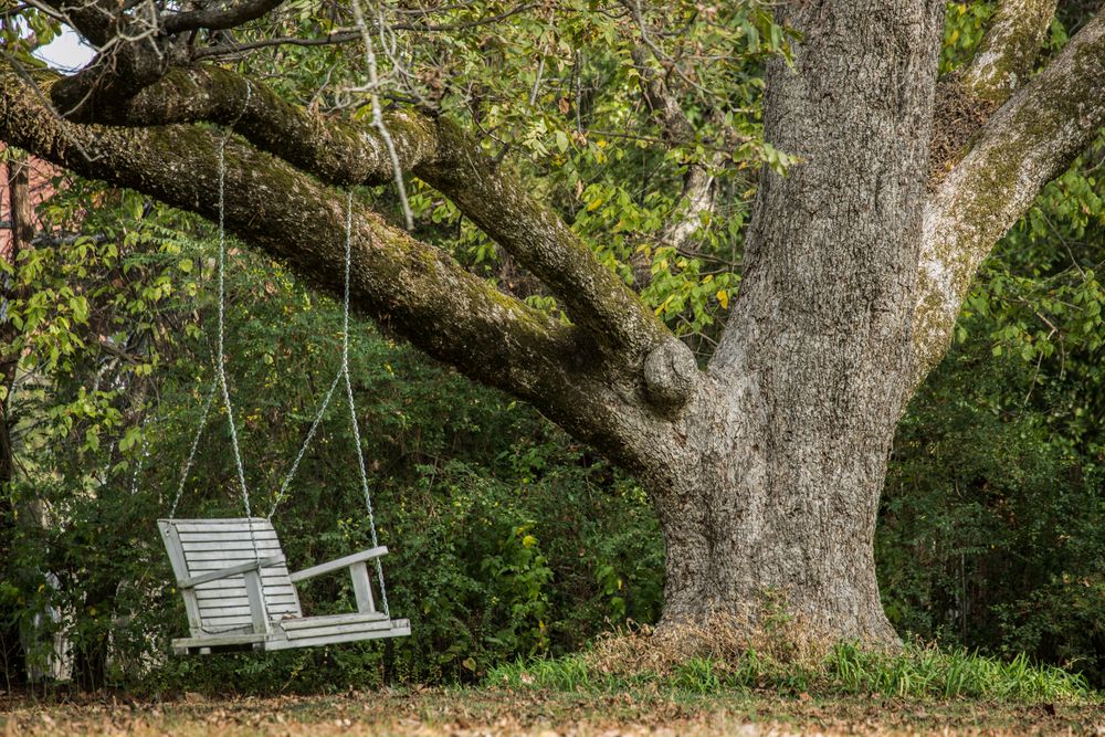 Hanging bench in Senatobia, Mississippi