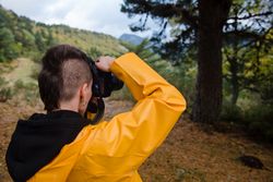 Enthusiastic person in yellow raincoat photographing tree in mountain