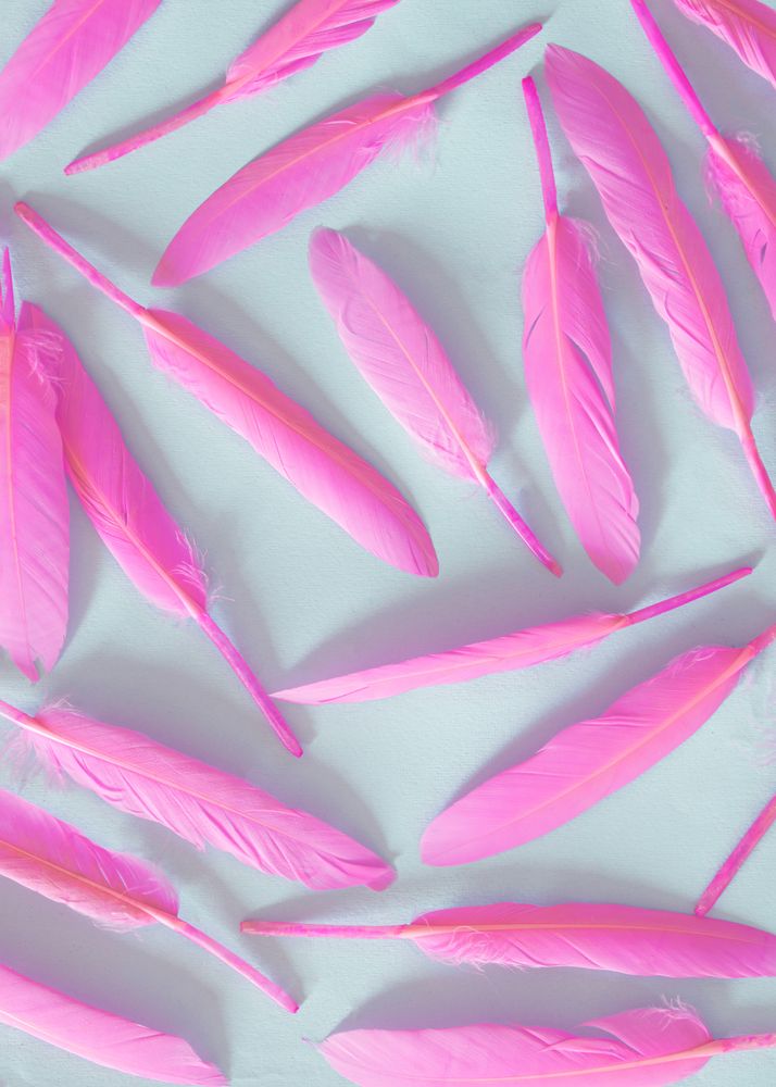 Soft feathers with shadow pastel pink on a deep blue background