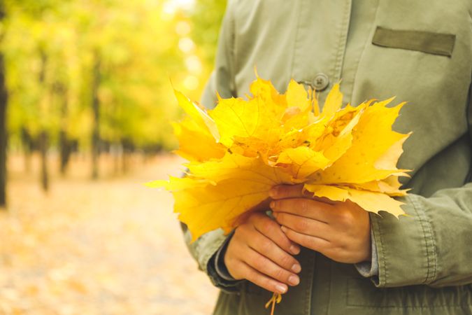 Young woman hold yellow leaves in autumn park, space for text