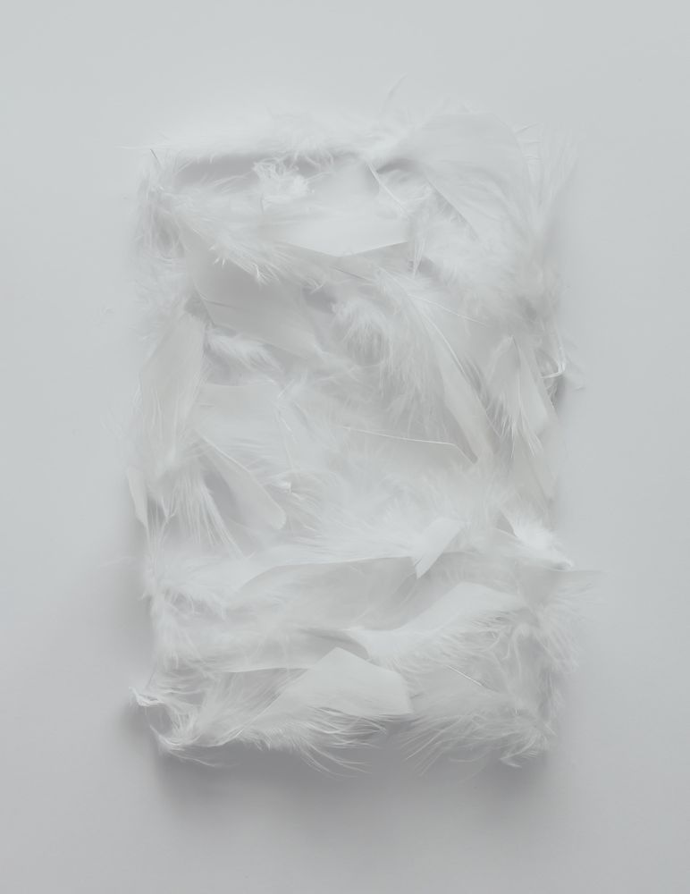 Bright feather texture