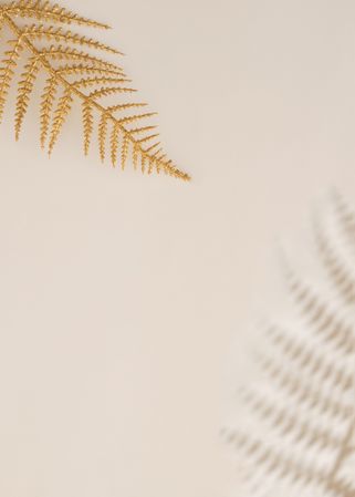 Golden branch in corner of beige background with shadow