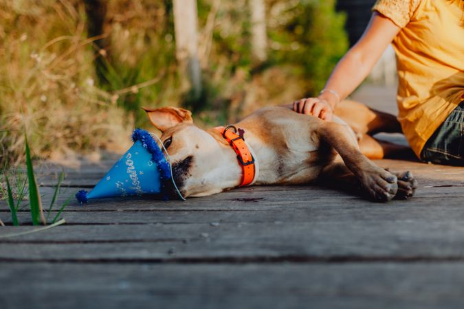 Casual young woman resting next to brown dog with party hat
