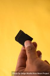 Hand holding SD card for data with yellow background 0gXOje