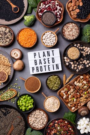Healthy vegan grains and vegetables with “Plant Based Protein” sign in center