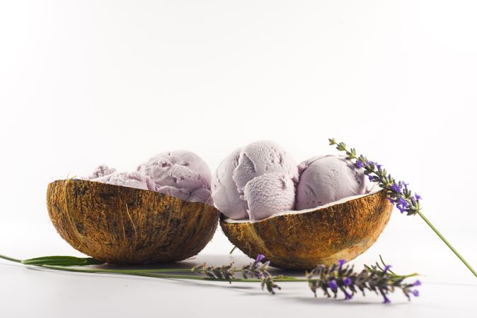 Side view of coconut shells with purple ice cream and pieces of lavender flowers