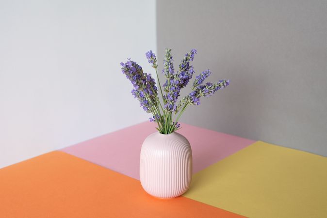 Vase of lavender flower in a multicolor background
