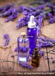 Lavender flowers and essential oils beXXGq