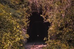 End of door framed with foliage