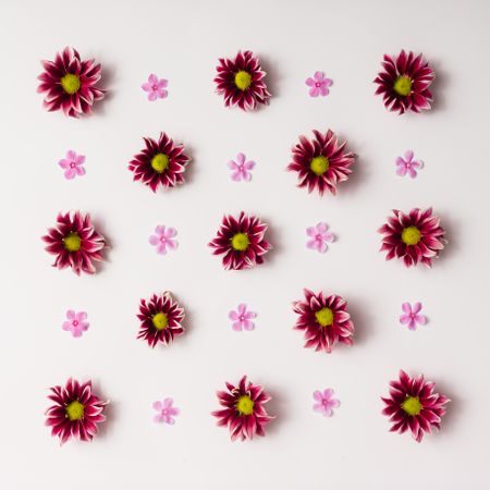 Dark red and pink flower pattern on light background