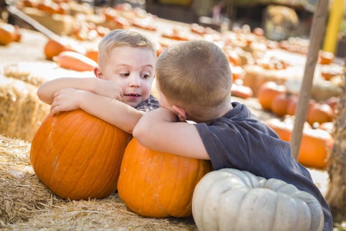 Boys Having Fun on a Fall Day