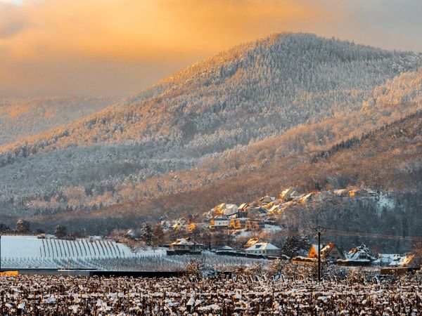 The warm colors of the setting sun on the snowy foothills of the Vosges. Alsace.