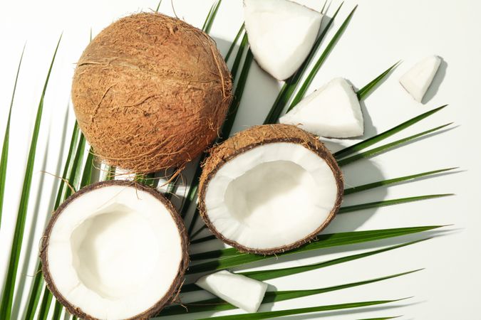 Coconut and palm branch on plain background, top view