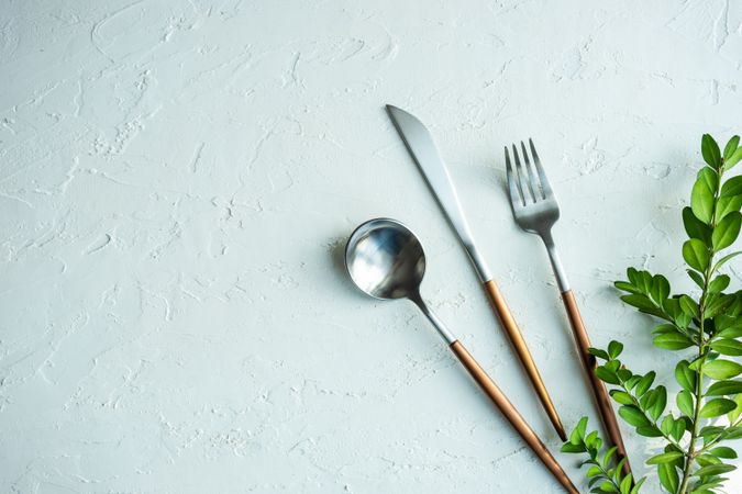 Silverware with foliage and copy space