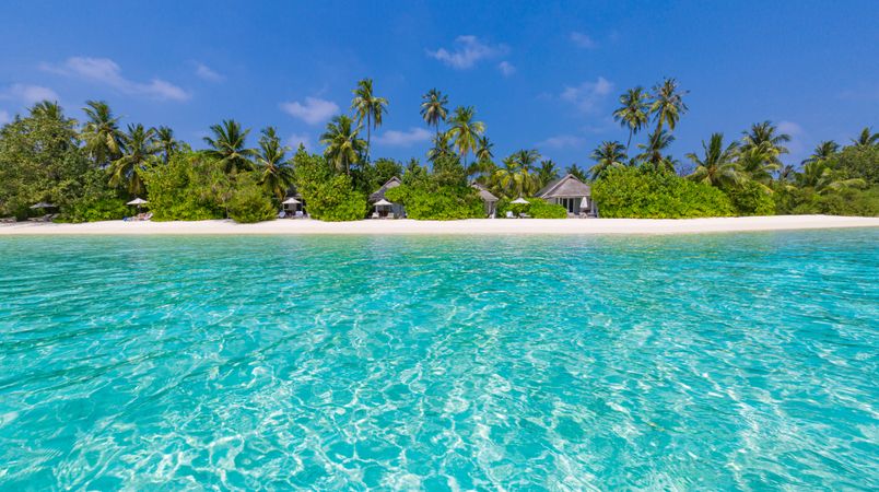 Beach scene with crystal clear waters, palms trees