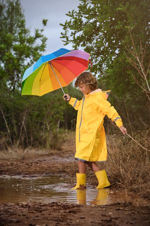 Little boy with umbrella in forest