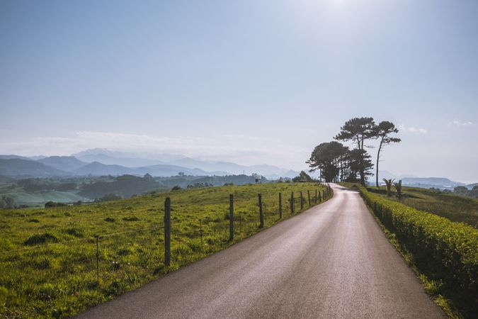 Empty road amid sunny green valley