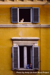 Rome, Italy - Feb 2, 2004 - Man smokes out of window with cat above be9RGb