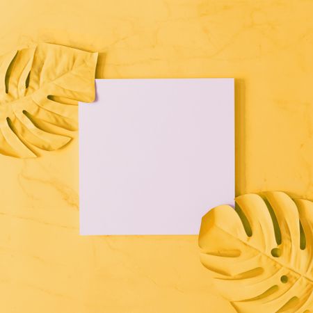Yellow painted leaves, on yellow background with paper