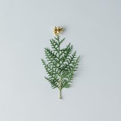Christmas tree made of branch topped with gold bow on light background