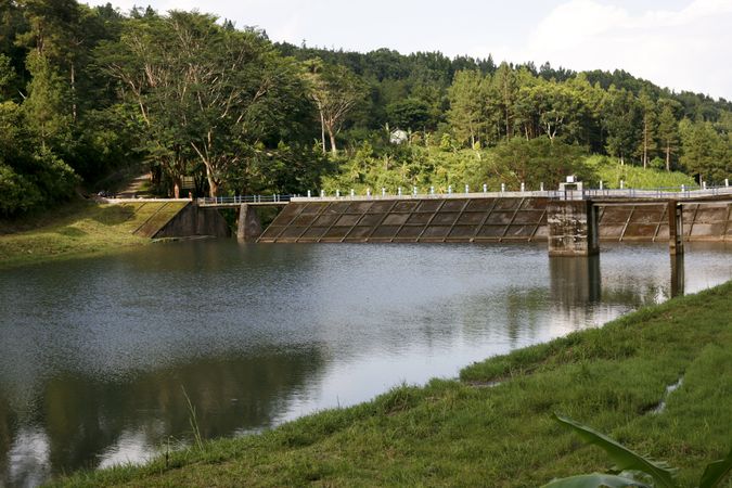 Manmade dam surrounded by trees