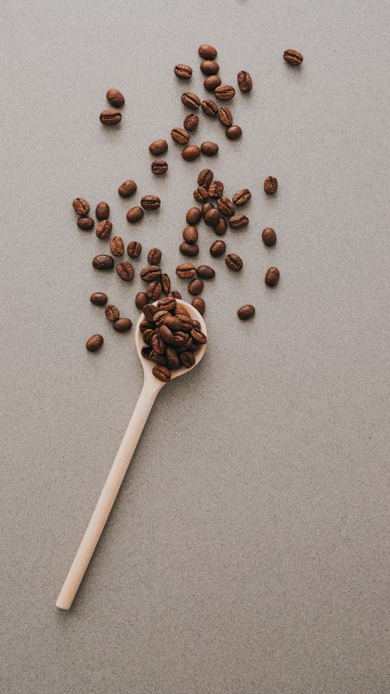 Coffee beans in spoon on gray surface