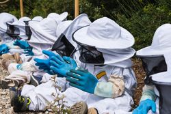 Unrecognizable children in costumes in apiary