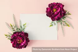 Two pink flowers on pastel pink background with light paper card 5lvzMb