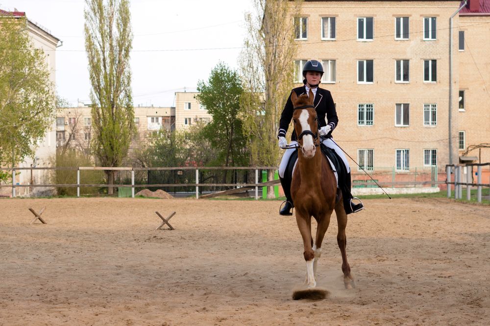 Equestrian rider and horse in action in city arena