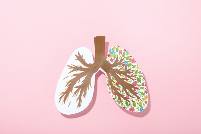 Paper lungs with painted bronchi and flowers on pink background