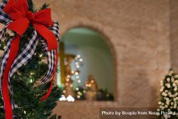 Close-up shot of Christmas garland in church bDMEV0