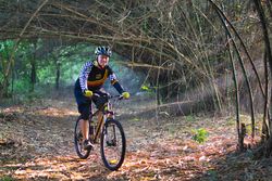 Man riding a sports bicycle in the wood 437Wg4