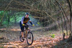 Man riding a sports bicycle in the wood