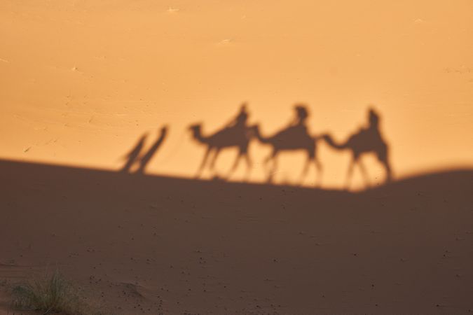 Shadow on sand of camels and people