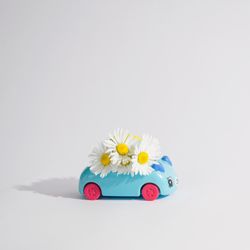 Cute blue toy car with daisy flowers