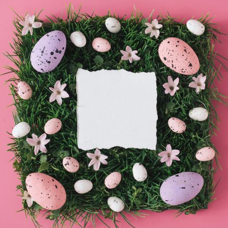 Pink and purple Easter eggs and natural grass and flowers with paper card