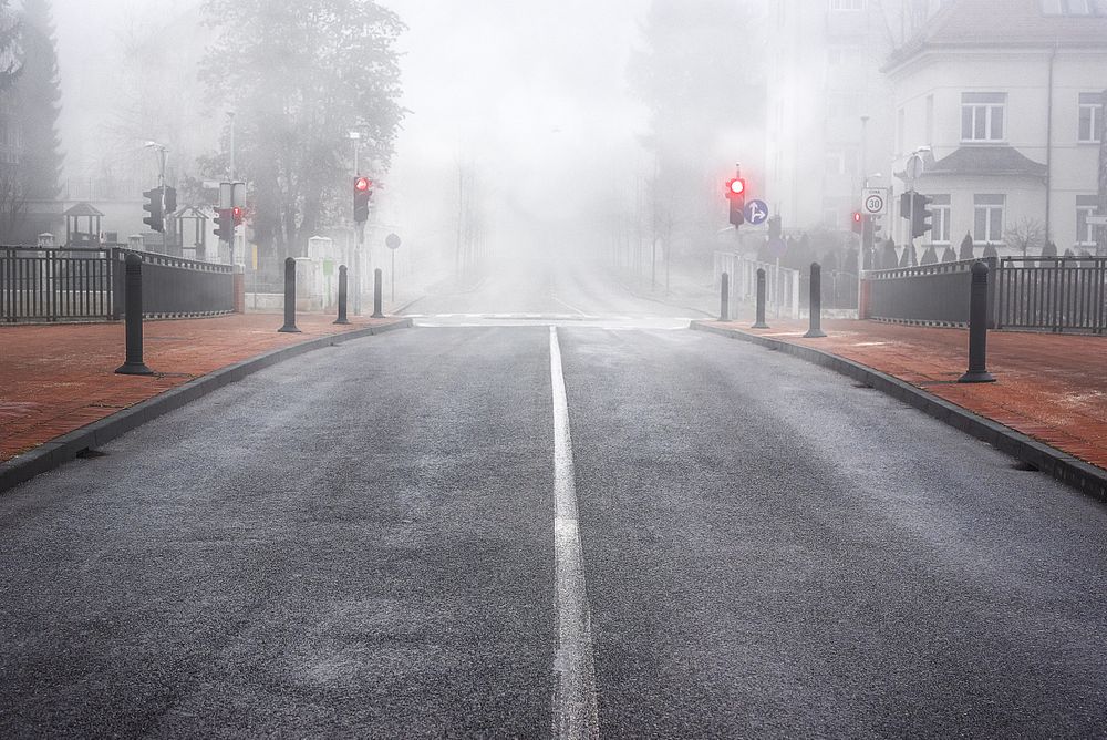 Boulevard in Slovenia surrounded by mist