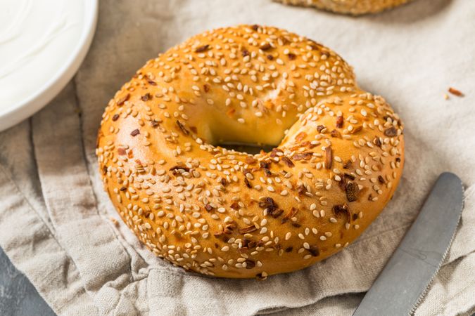 Warm Everything Bagels for Breakfast