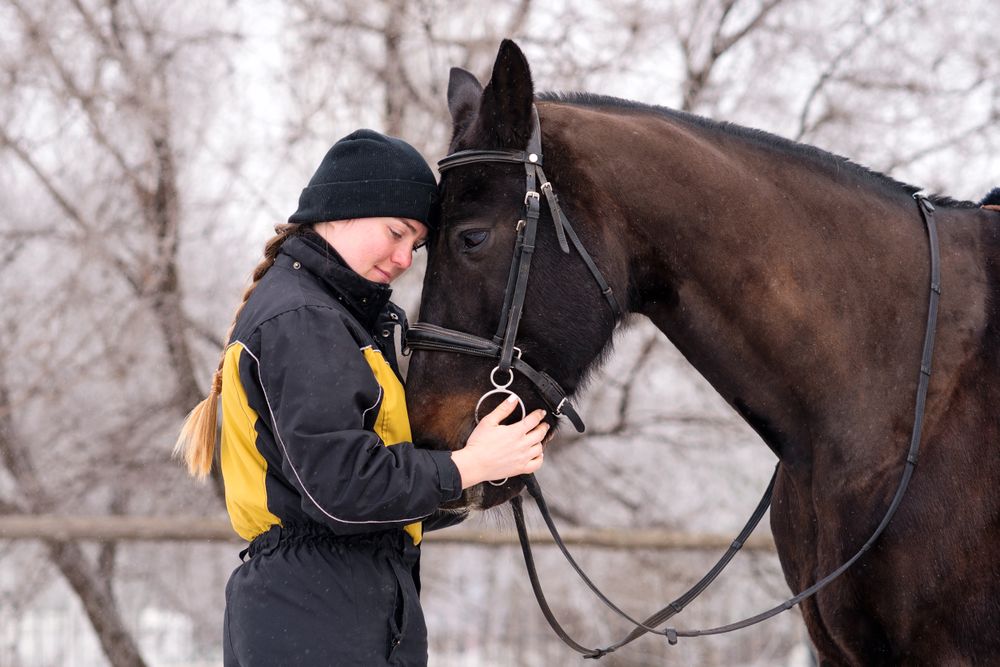 Close bond between person and horse in winter.