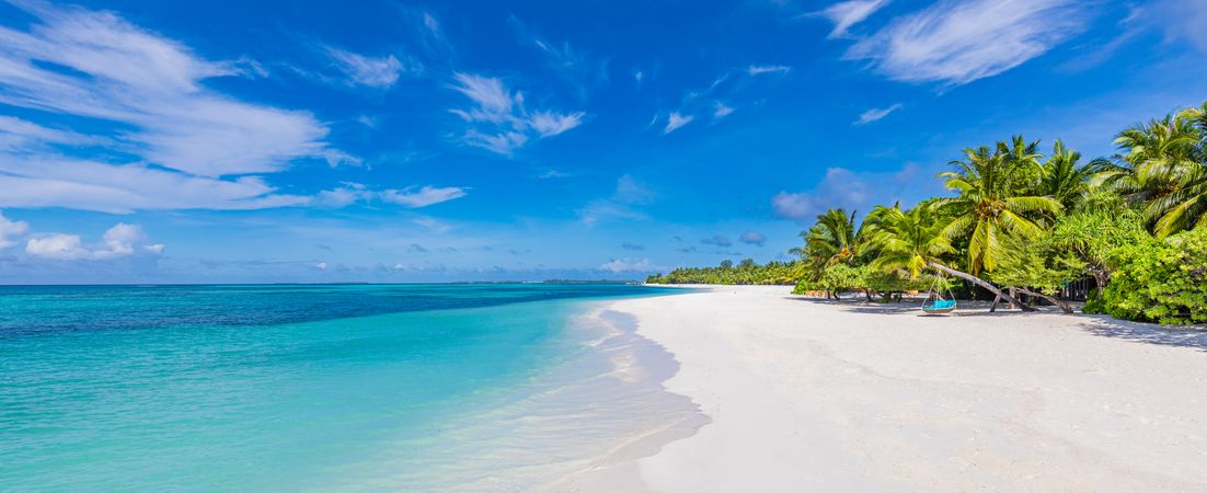 Wide shot of an idyllic beach with palm trees and clear waters