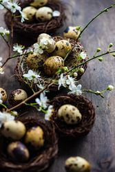 Easter holiday card concept of nest and speckled eggs on wooden table