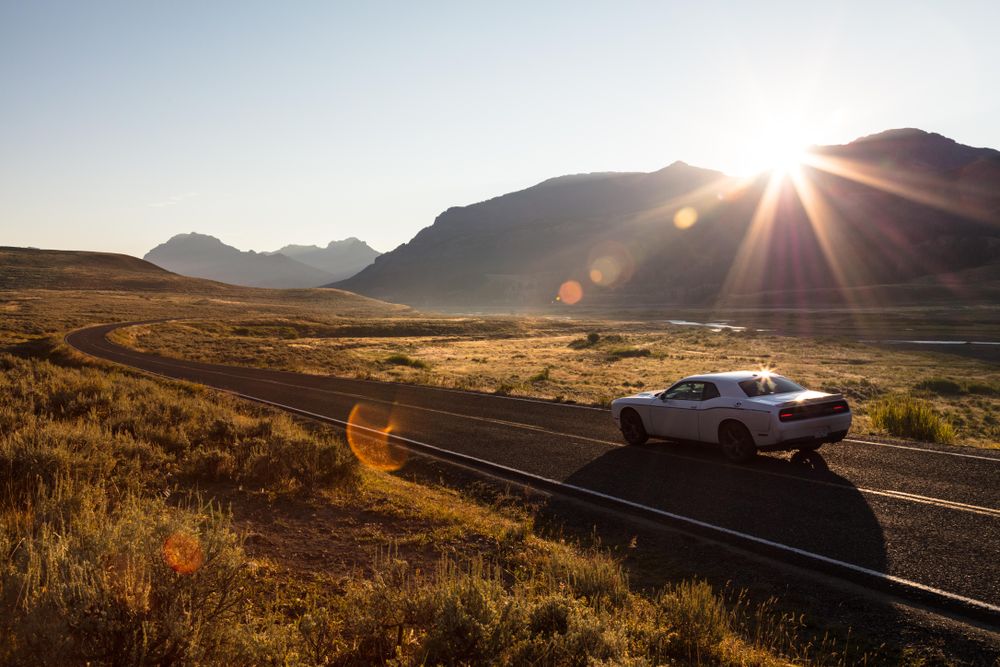Sunrise road trip drive in Yellowstone National Park