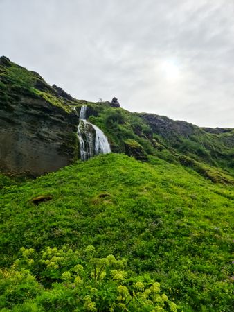 Majestic icelandic waterfall cascading down lush hillside