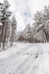 Winter snowy empty country road