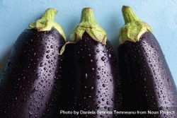 Close up of fresh eggplant with water droplets 0Jlad4