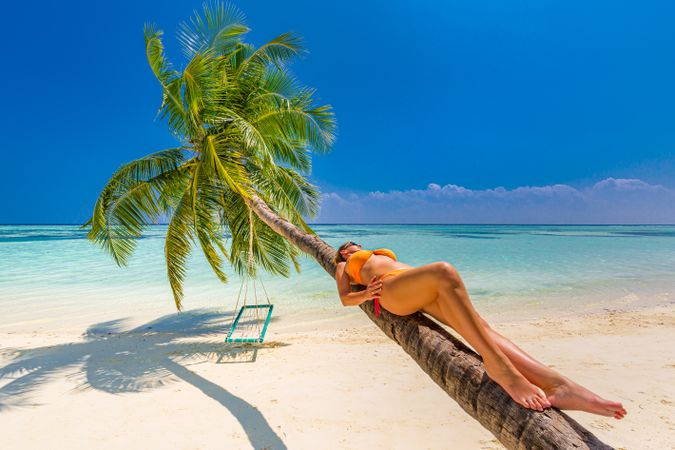 Woman leaning palm tree on a tropical beach